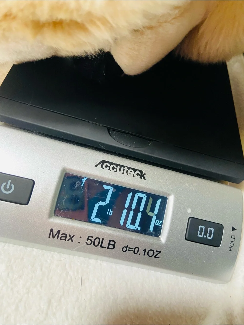 25” Retired Aurora Super Flopsie Wolf Plush